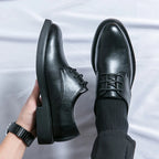 Chic Oxford Dress Shoes